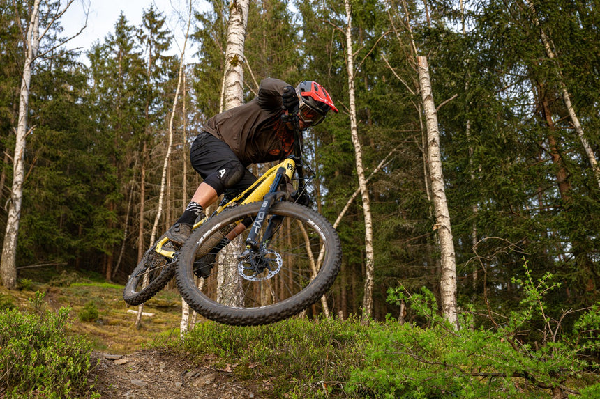 Silvini men's shorts MP1805 Fabriano